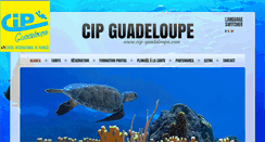 Desktop Screenshot of cip-guadeloupe.com